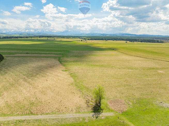 DZIAŁKA USŁUGOWA W NOWYM TARGU
