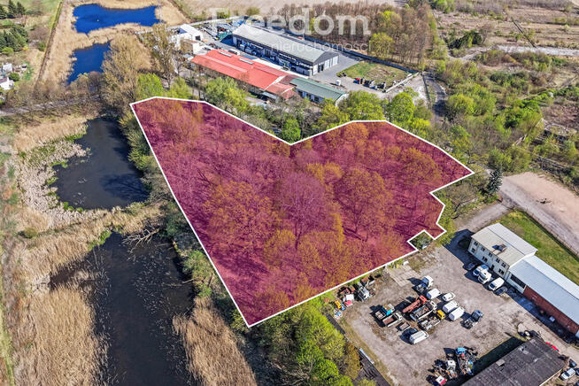 Zabytkowy park 1,2 ha | 29 km od Warszawy
