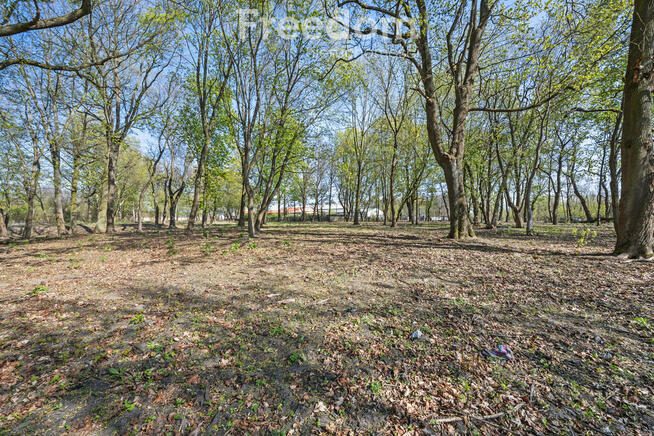 Zabytkowy park 1,2 ha | 29 km od Warszawy