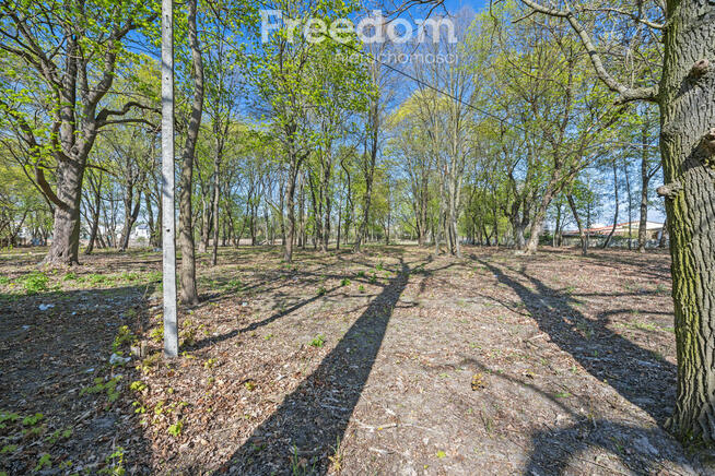 Zabytkowy park 1,2 ha | 29 km od Warszawy