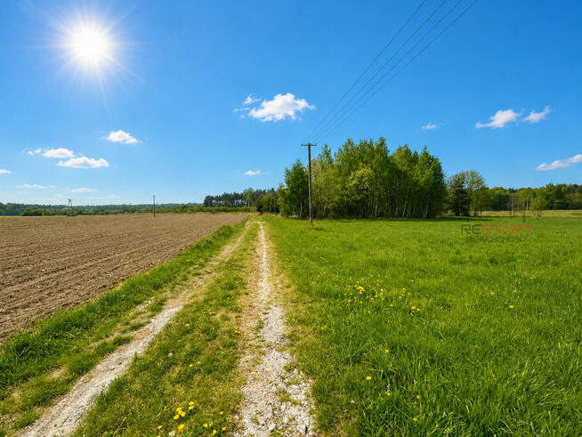 Działka inwestycyjna Korabiewice gm. Puszcza Mariańska,