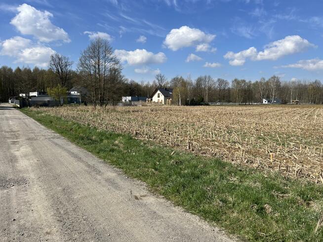 Działka budowlana Ciepielowice gm. Dąbrowa, Magnoliowa