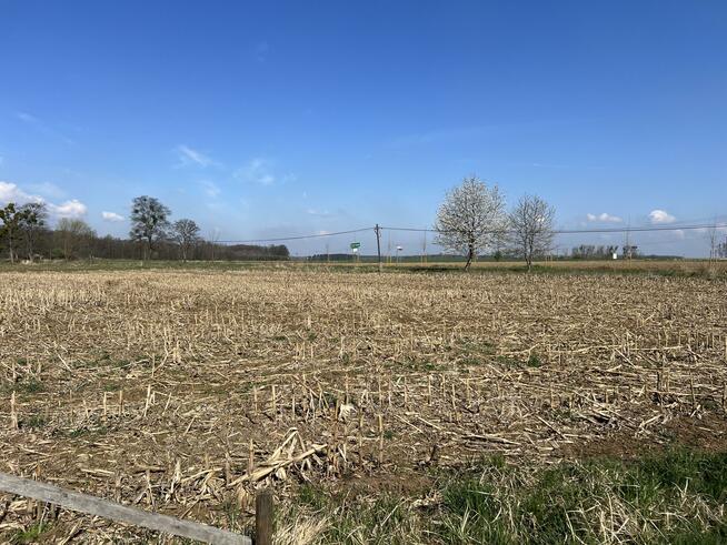 Działka budowlana Ciepielowice gm. Dąbrowa, Magnoliowa