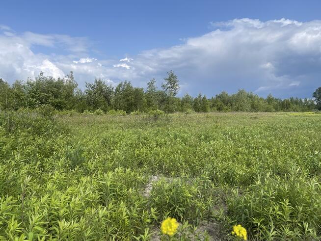 Działka usługowo-mieszkaniowa 999 m²