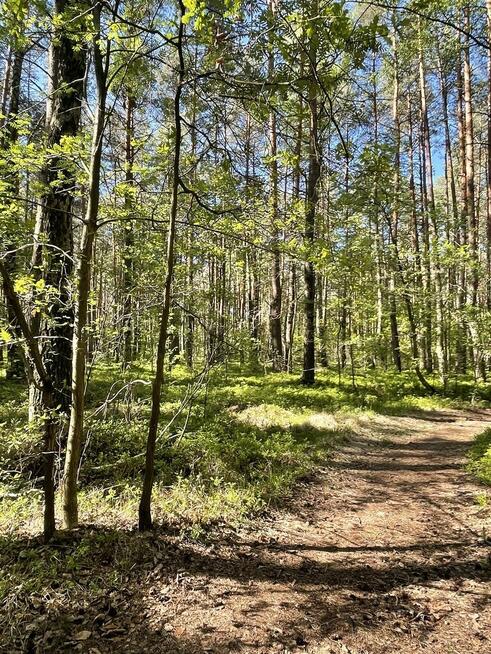 Działki na sprzedaż – Ciemne k. Radzymina