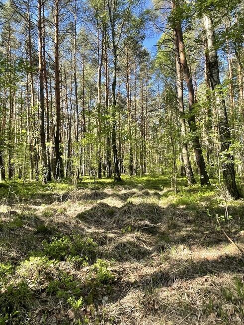 Działki na sprzedaż – Ciemne k. Radzymina