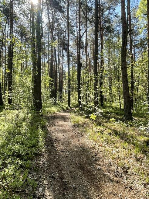 Działki na sprzedaż – Ciemne k. Radzymina