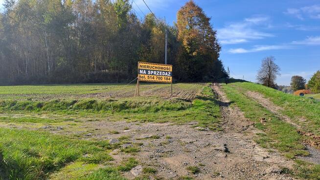 Bodzanów-usługowo-przemysłowa pod hale, magazyny
