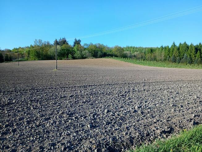 DZIAŁKA W JAKSMANICACH gm.MEDYKA
