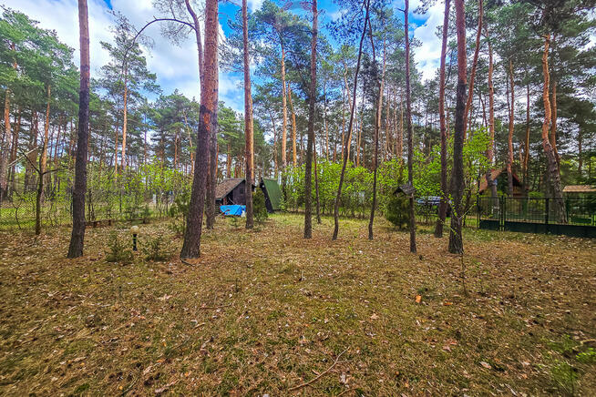 Działka budowlana w lesie z domkiem Brda, Smolice
