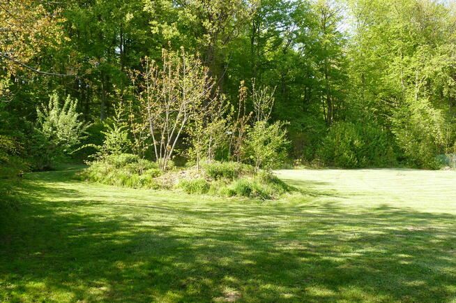 Działka przy lesie/ Park Krajobrazowy/dom lub inwestycja