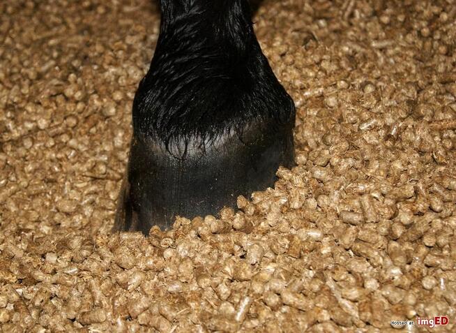 Kombajn mobilny do produkcji agropelletu z biomasy.