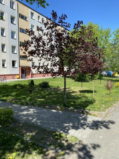 Komfortowe mieszkanie na sprzedaż