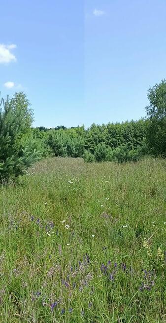 Sprzedam działkę rolną z prawem do zabudowy
