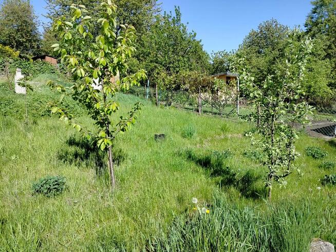 Działka ROD Pogoń Sosnowiec