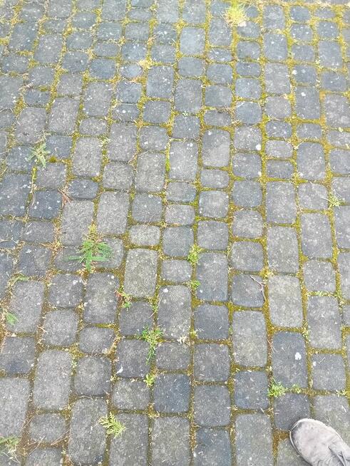 Malowanie dachów, Czyszczenie kostki