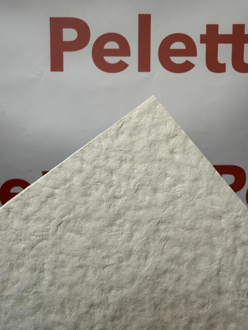 OKAZJA! Peletto Filtr płytkowy do oleju FP-6