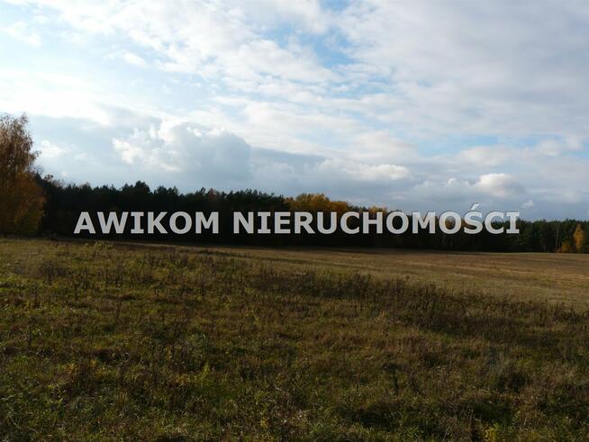 Działka rolna Puszcza Mariańska Wycześniak
