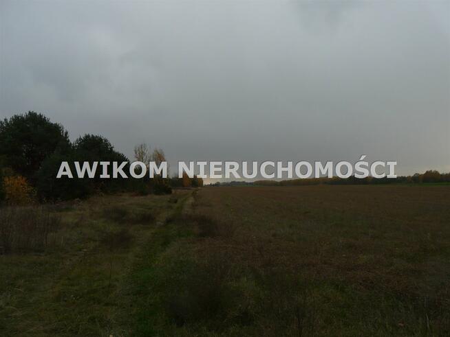 Działka siedliskowa Puszcza Mariańska Stary Łajszczew