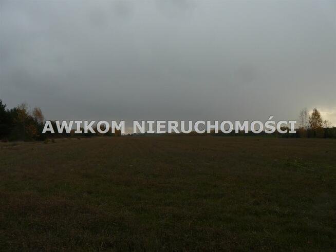 Działka siedliskowa Puszcza Mariańska Stary Łajszczew