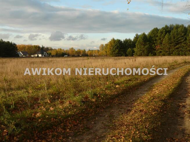 Działka usługowa Puszcza Mariańska