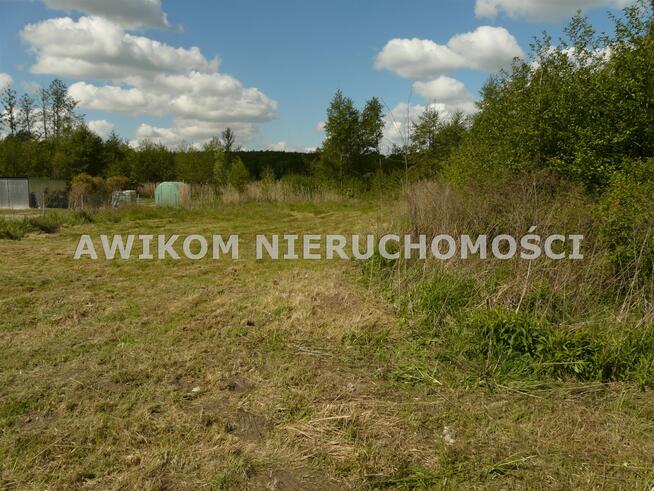 Działka budowlana Sewerynów gm. Nowy Kawęczyn