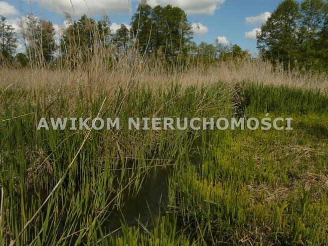 Działka budowlana Sewerynów gm. Nowy Kawęczyn