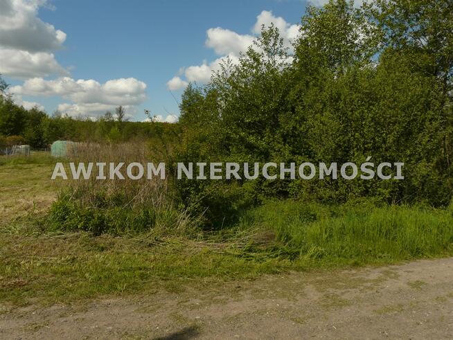 Działka budowlana Sewerynów gm. Nowy Kawęczyn