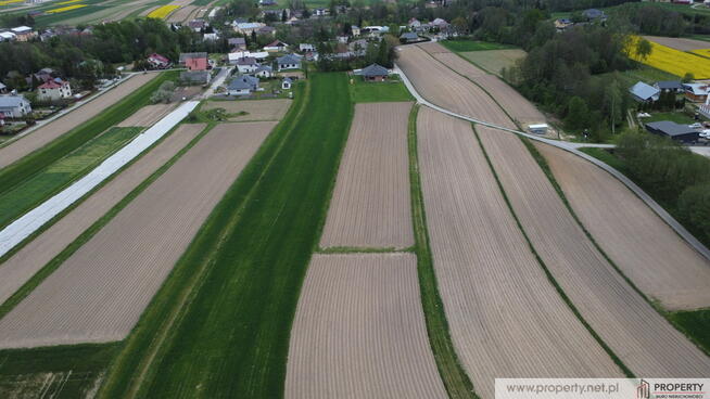 Działka 39 ar z WZ, Wola Wielka, gm. Żyraków
