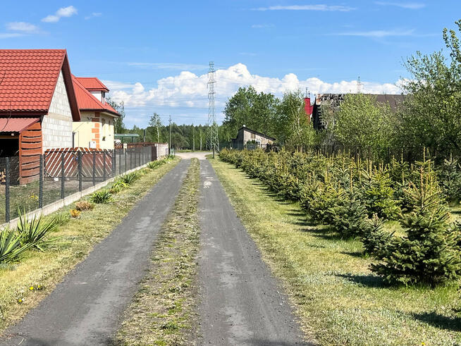 Dom po remoncie 106,5m2 działka 2873m2 + choinki