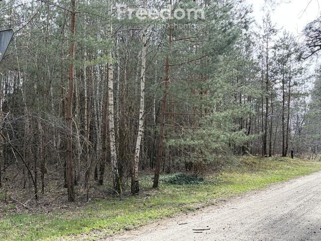 Na sprzedaż działki w Golubiu Dobrzyniu