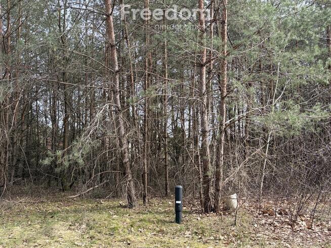 Na sprzedaż działki w Golubiu Dobrzyniu