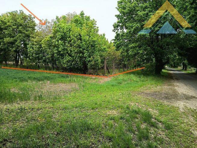 Oferta dla dewelopera działka 4,1 ha, Tychowo