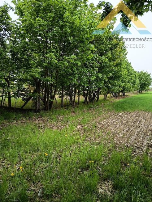 Oferta dla dewelopera działka 4,1 ha, Tychowo