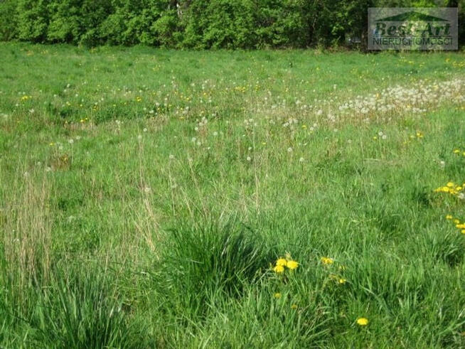Skoczów, Kiczyce - działka budowlana na sprzedaż.