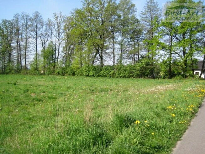 Skoczów, Kiczyce - działka budowlana na sprzedaż.