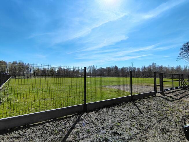 Na sprzedaż 6 dużych działek w Pilchach 150 m od jeziora Roś