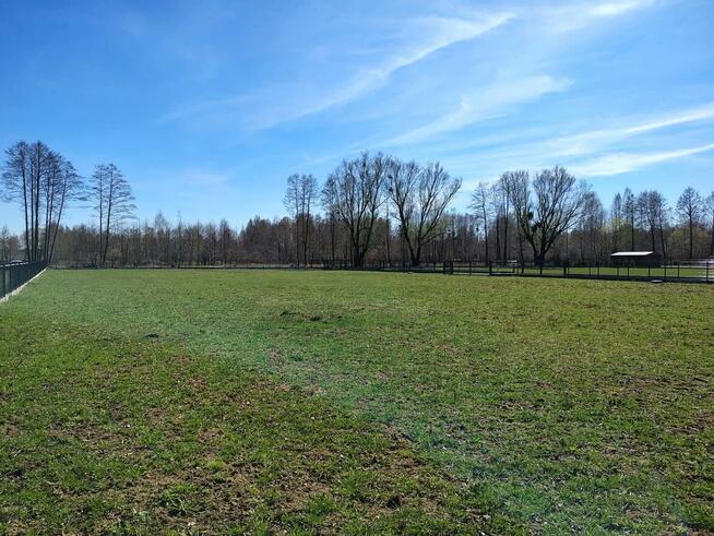 Na sprzedaż 6 dużych działek w Pilchach 150 m od jeziora Roś