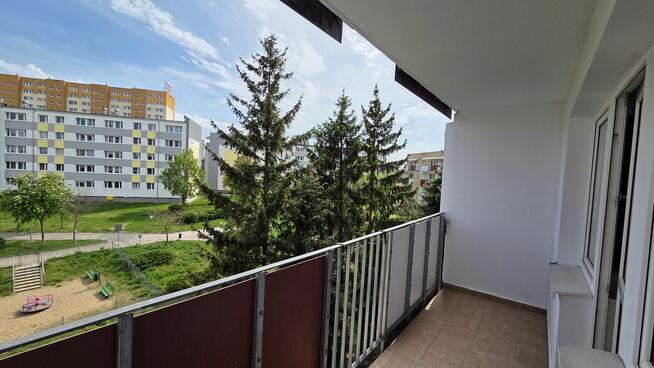 Gotowe pod wynajem lub dla rodziny | 74 m² Rataje