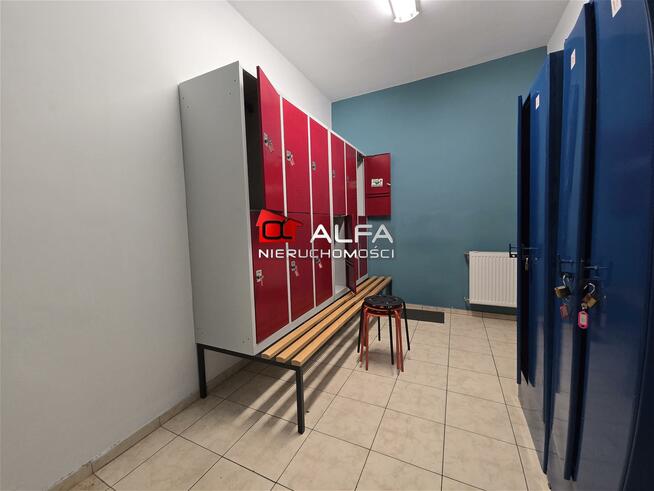 Lokal użytkowy Świdnica