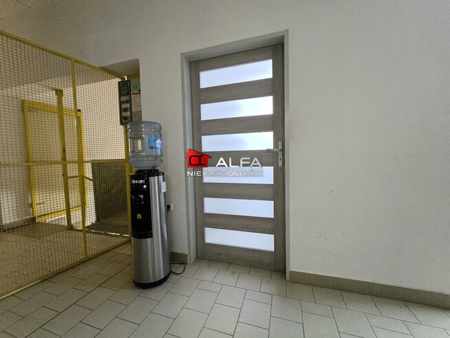 Lokal użytkowy Świdnica