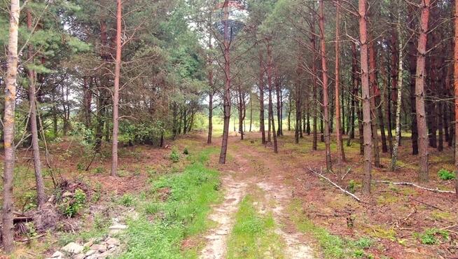 Dwie działki rolne – Rudniki k. Koniecpola
