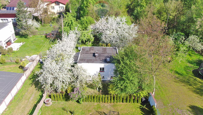 Działka w rewelacyjnej okolicy Katowice – Murcki
