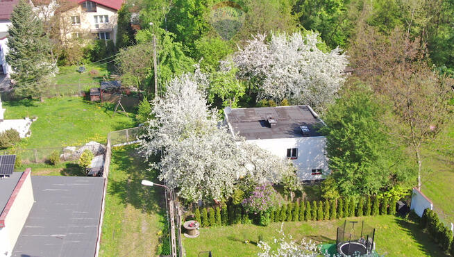 Działka w rewelacyjnej okolicy Katowice – Murcki
