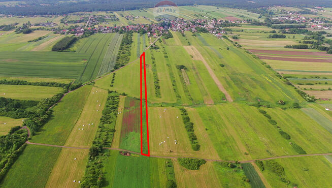 Działka rolna Poręba-Niwki