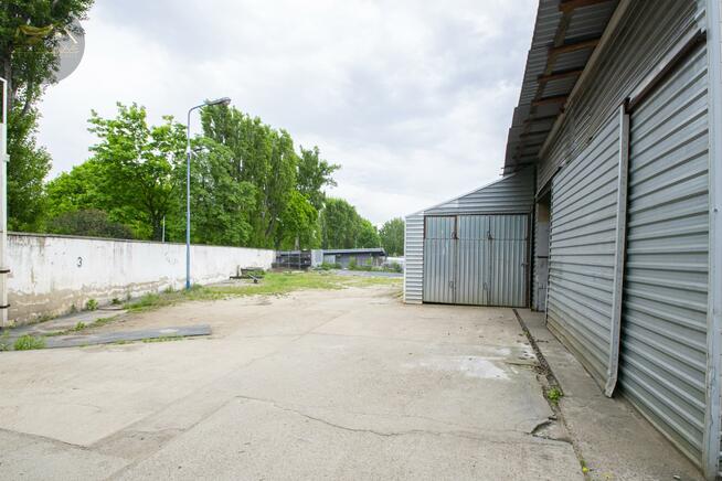 Lokal użytkowy Świdnica