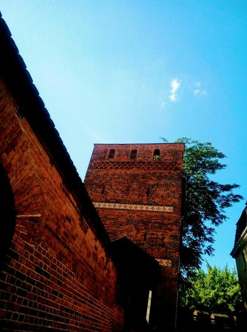 Zwiedzaj Toruń, płać ile chcesz! Free Tour- gotyckie zabytki