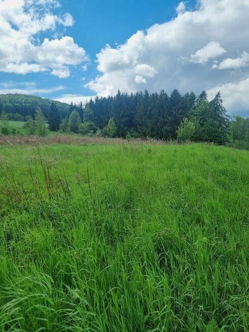 Działka budowlana Witoszów Świdnica dolnośląskie malownicza