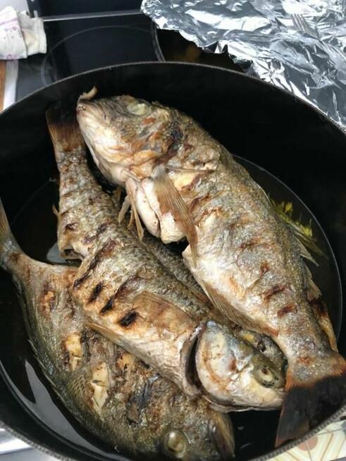CHORWACJA 2-9 X Gradac Samolot Wroclaw-Dubrovnik .