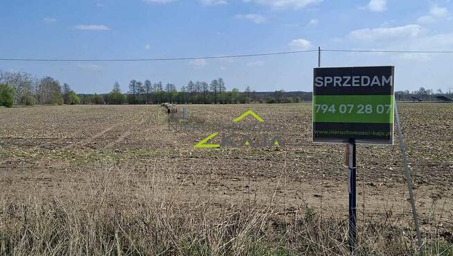 Zamieszkaj blisko natury - działka 1217m2 z WZ